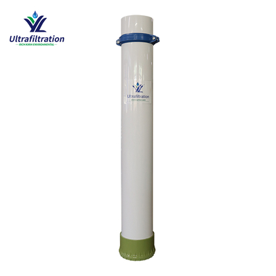 Water Purification Plant Hollow Fiber PVDF Material 219 Replacement for Hydranautics